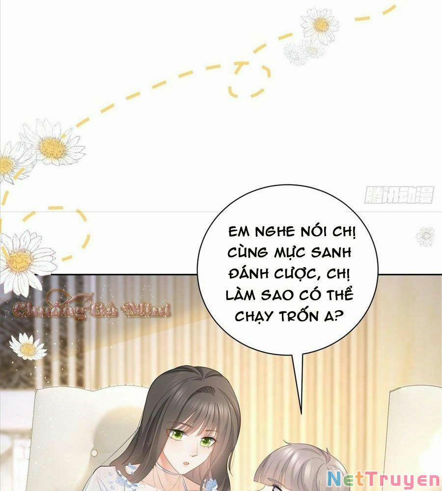 Boss Sát Thủ Dưỡng Hồ Yêu 12 trang 66