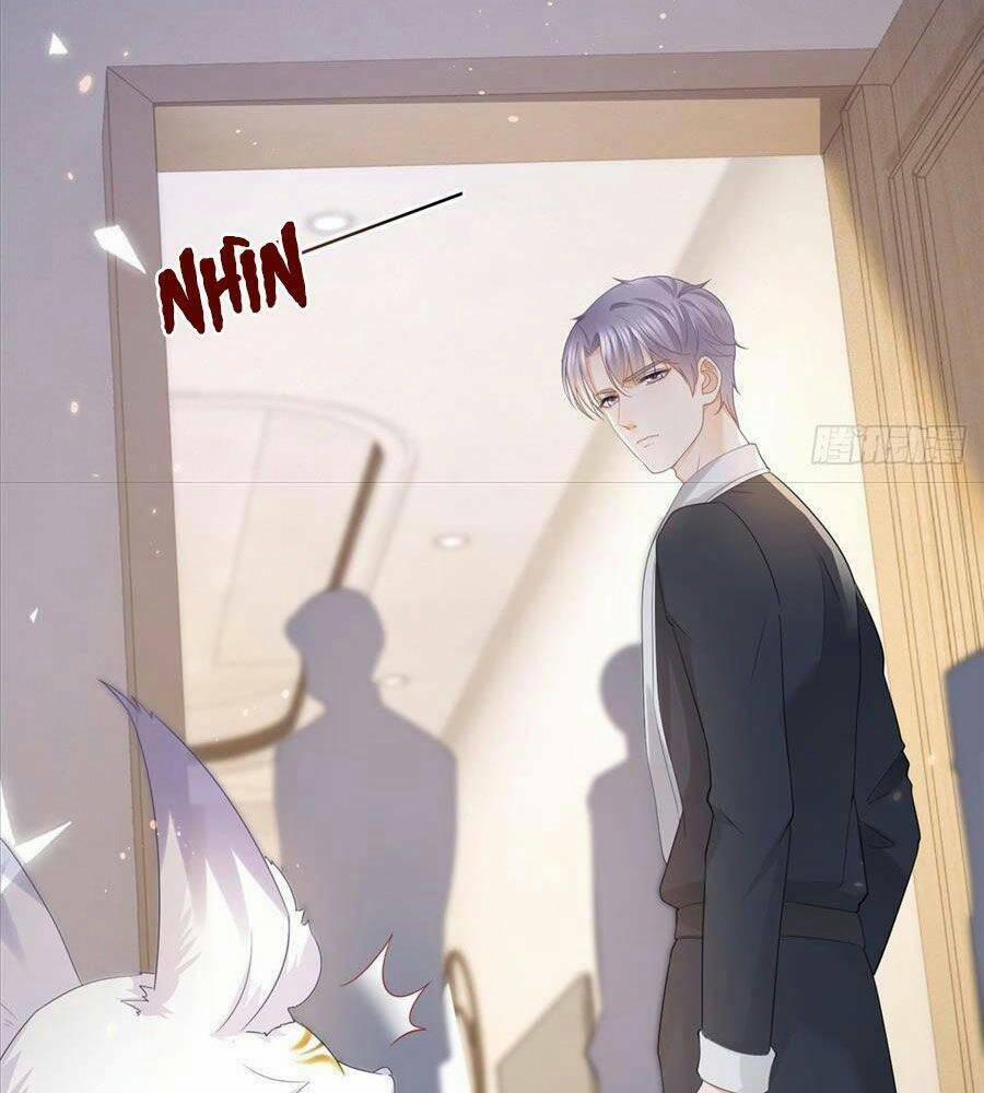 Boss Sát Thủ Dưỡng Hồ Yêu 13 trang 34