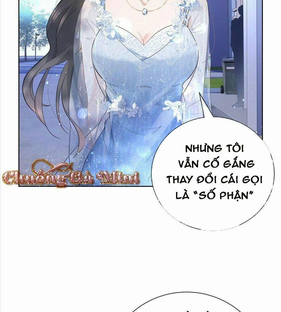 Boss Sát Thủ Dưỡng Hồ Yêu 14 trang 70