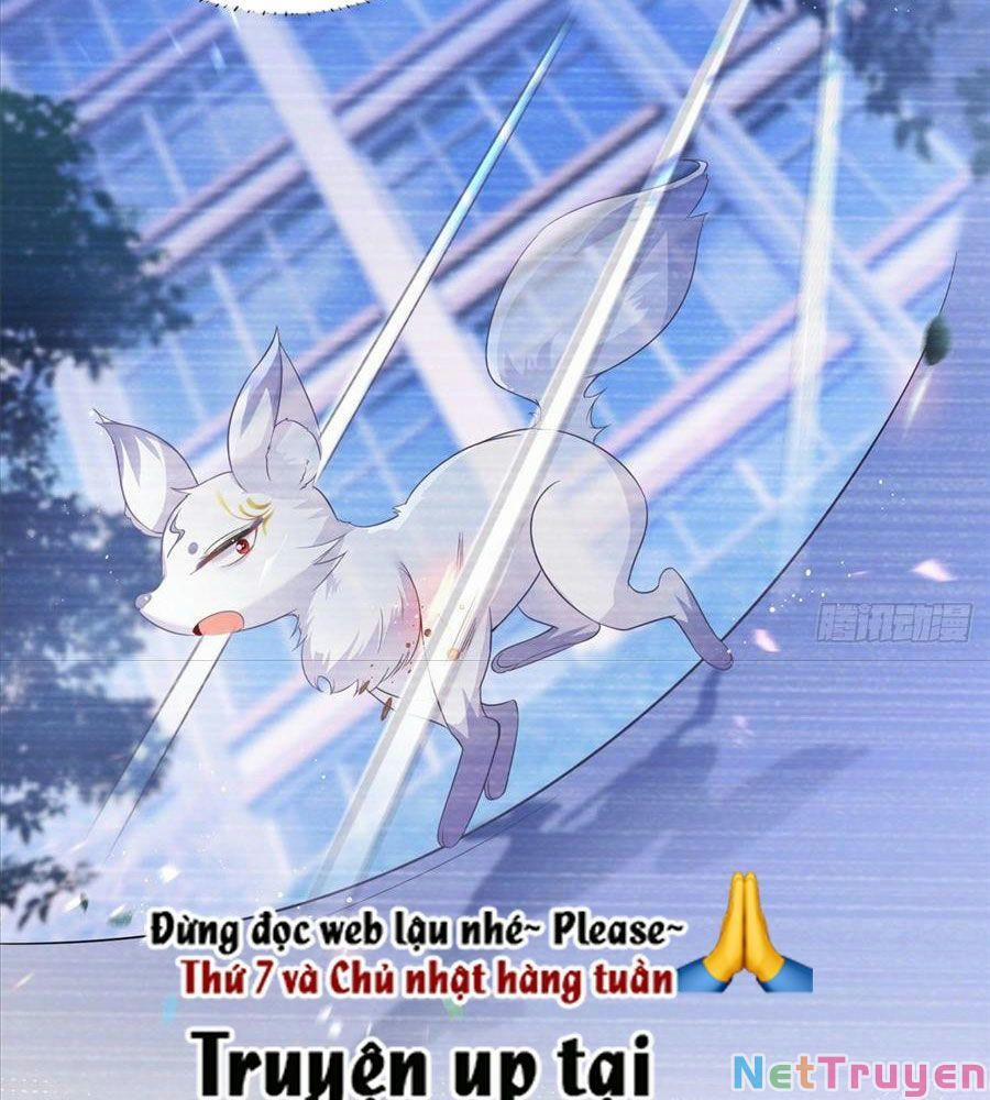 Boss Sát Thủ Dưỡng Hồ Yêu 17 trang 60