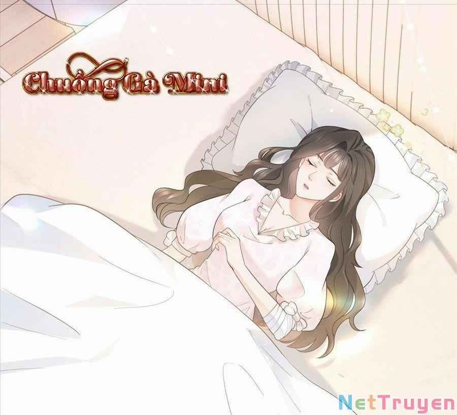 Boss Sát Thủ Dưỡng Hồ Yêu 18 trang 4