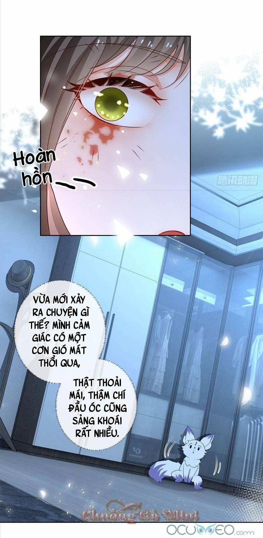 Boss Sát Thủ Dưỡng Hồ Yêu 2 trang 13