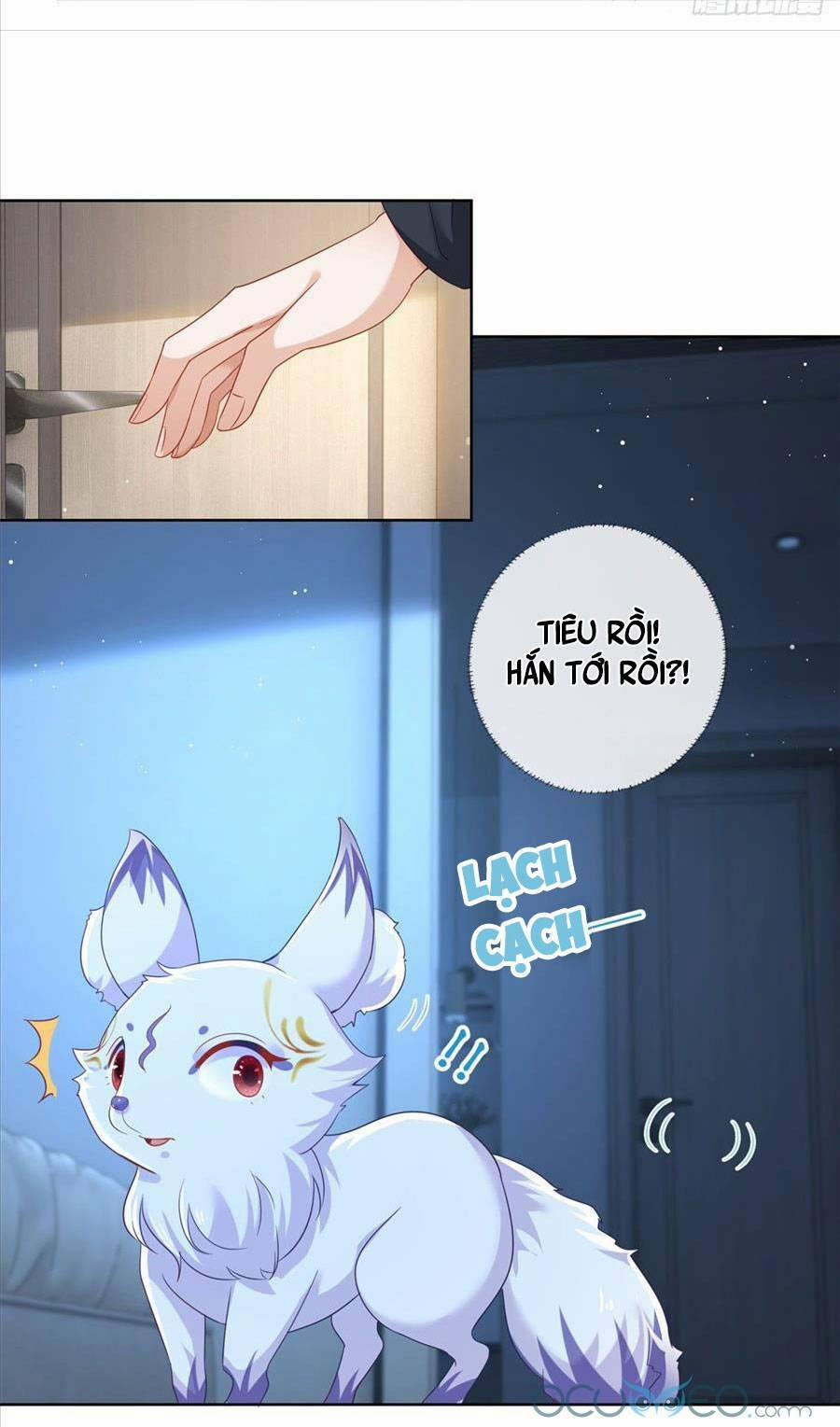 Boss Sát Thủ Dưỡng Hồ Yêu 2 trang 17