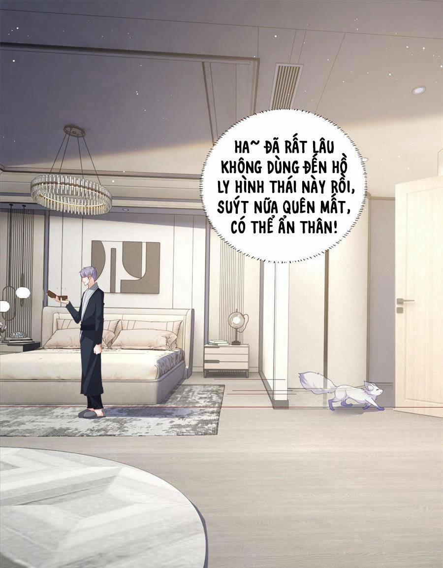Boss Sát Thủ Dưỡng Hồ Yêu 2 trang 22