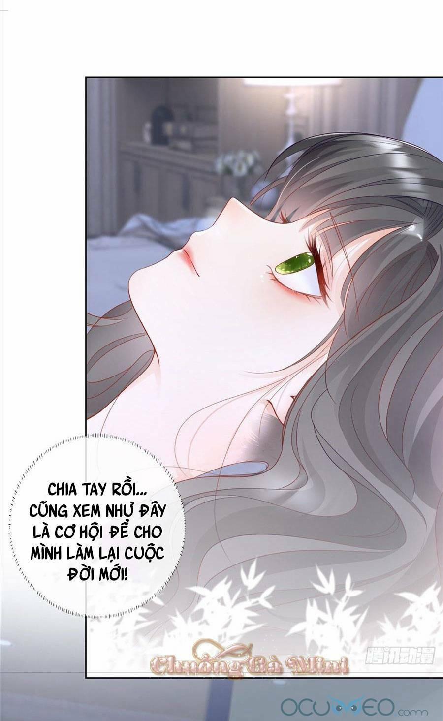 Boss Sát Thủ Dưỡng Hồ Yêu 3 trang 14