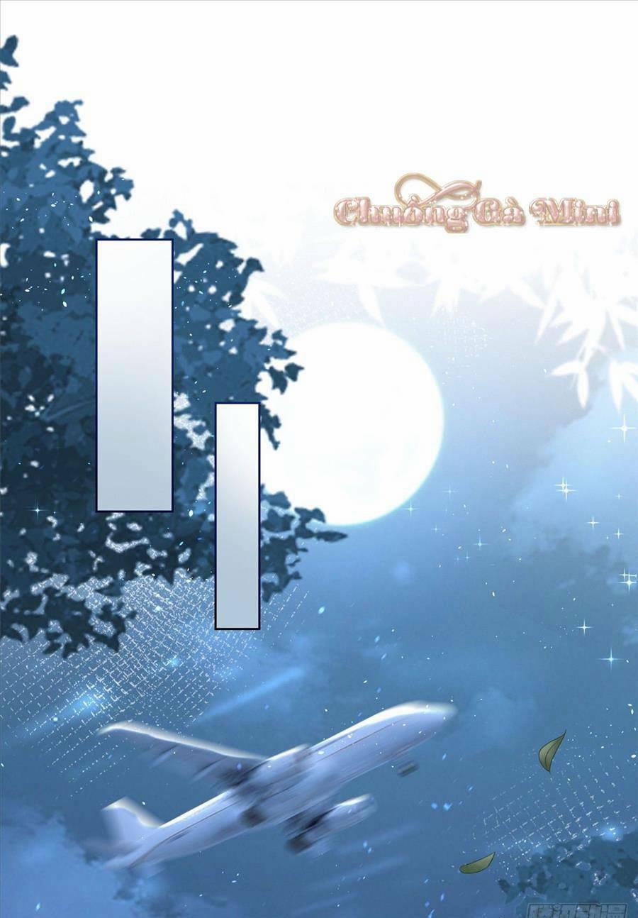 Boss Sát Thủ Dưỡng Hồ Yêu 3 trang 33