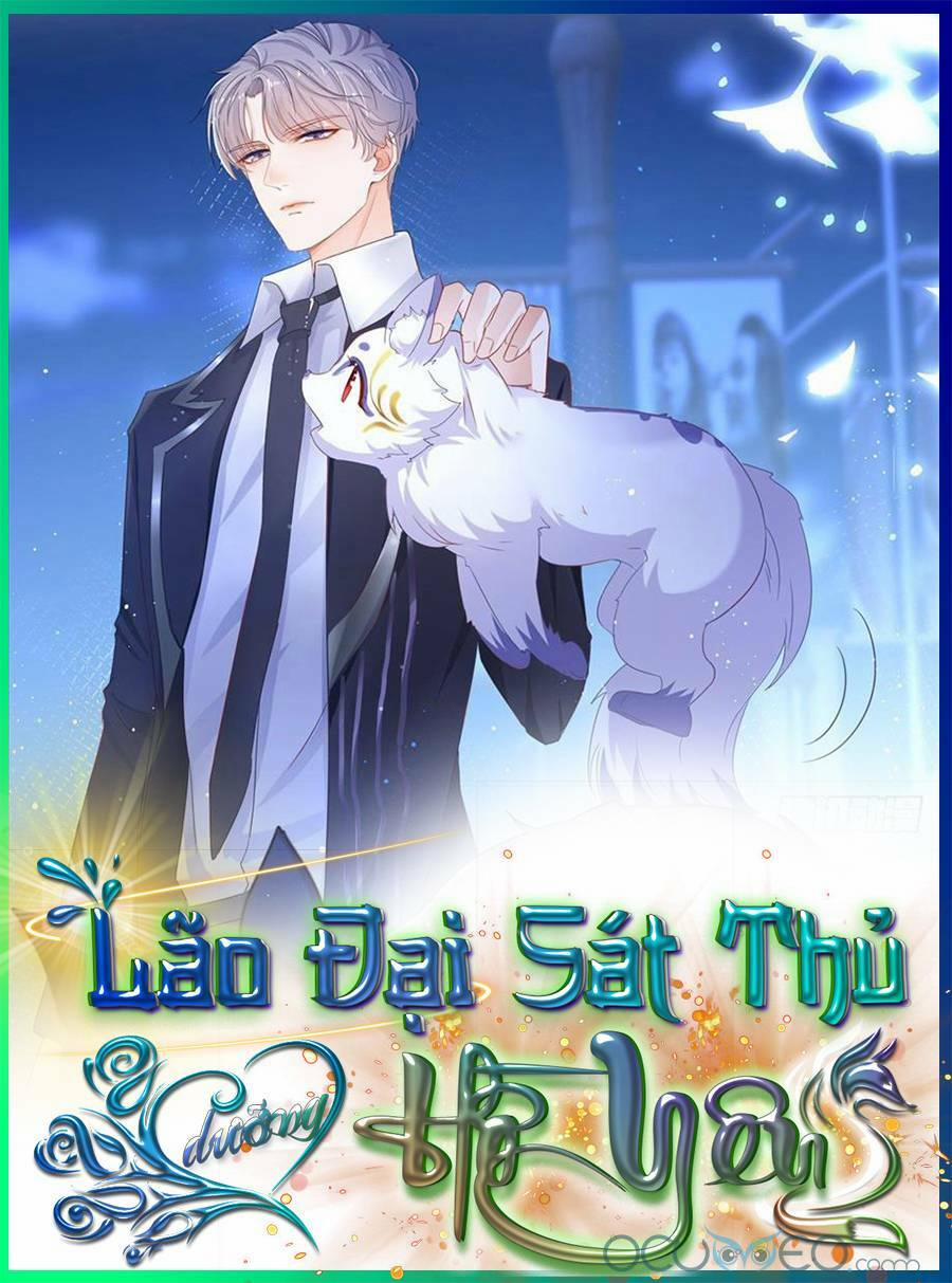 Boss Sát Thủ Dưỡng Hồ Yêu 3 trang 45