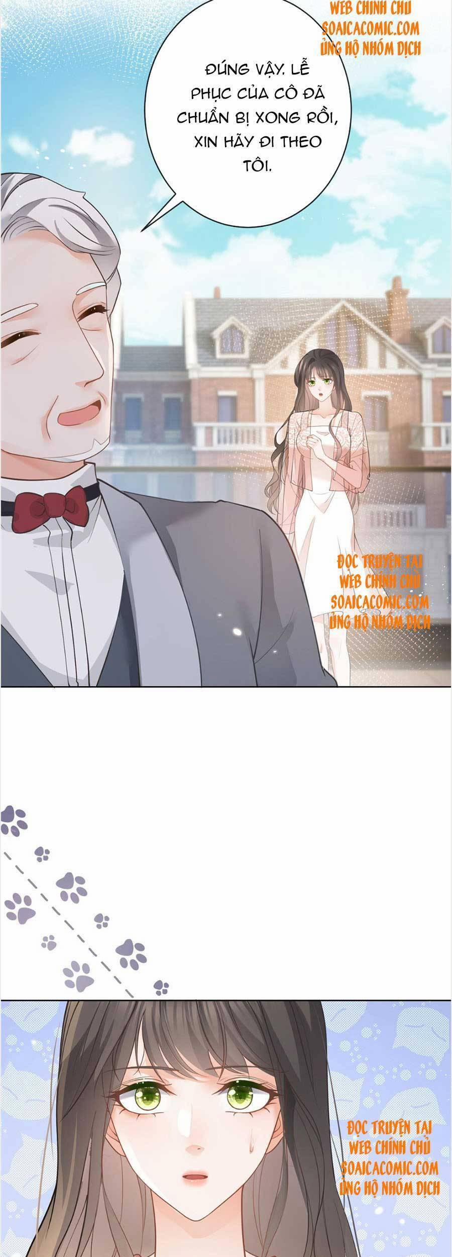 Boss Sát Thủ Dưỡng Hồ Yêu 47 trang 15