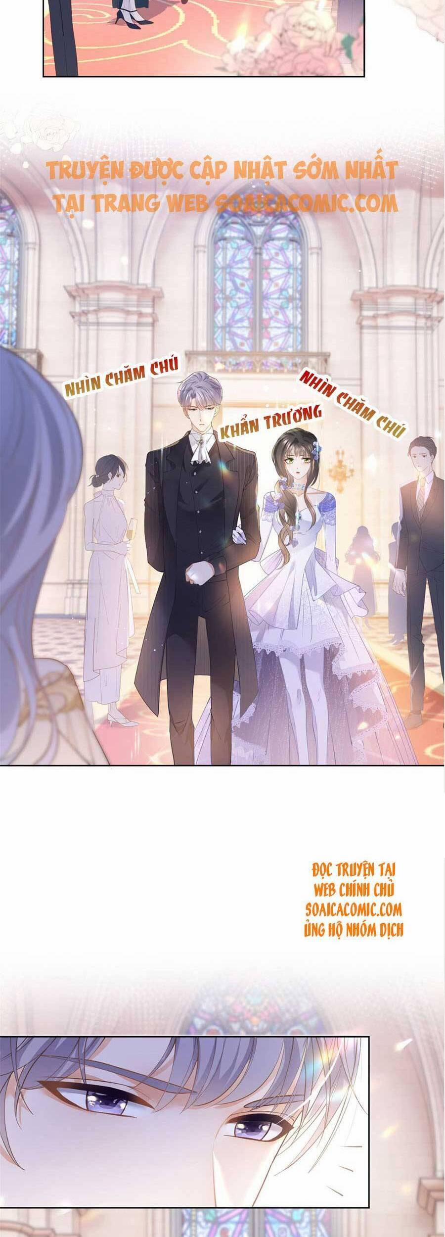 Boss Sát Thủ Dưỡng Hồ Yêu 48 trang 2