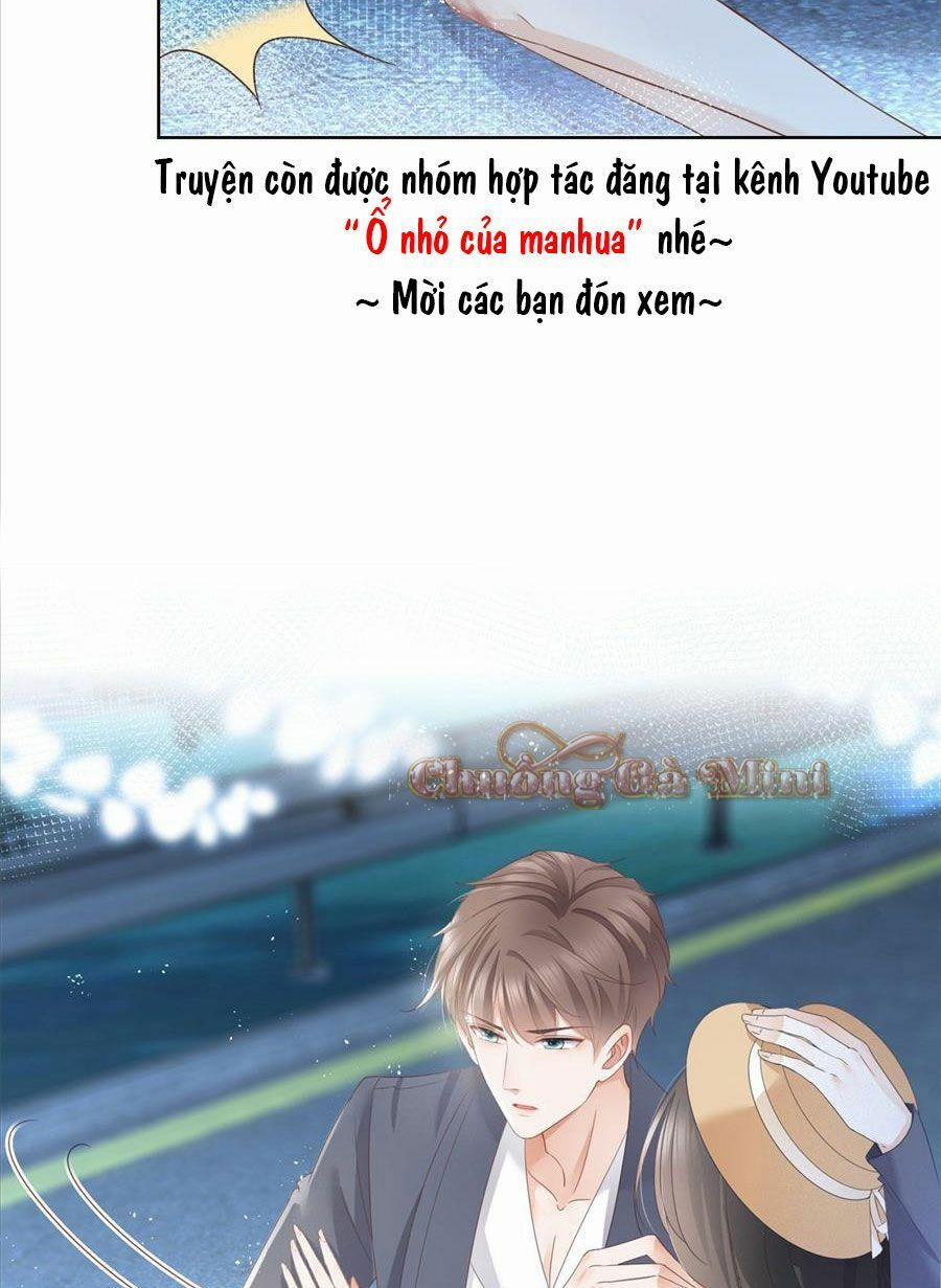 Boss Sát Thủ Dưỡng Hồ Yêu 5 trang 11