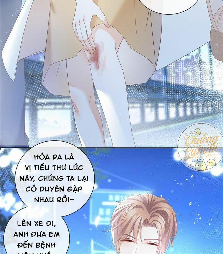 Boss Sát Thủ Dưỡng Hồ Yêu 5 trang 21