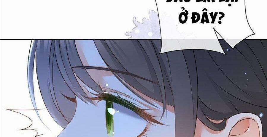 Boss Sát Thủ Dưỡng Hồ Yêu 52 trang 22