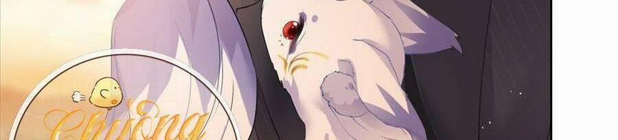 Boss Sát Thủ Dưỡng Hồ Yêu 54 trang 31