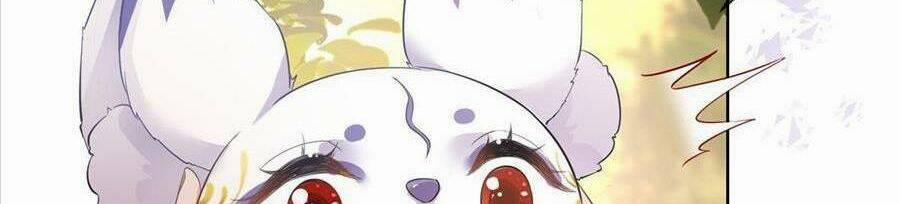 Boss Sát Thủ Dưỡng Hồ Yêu 54 trang 75