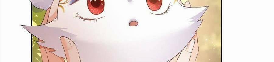 Boss Sát Thủ Dưỡng Hồ Yêu 54 trang 76