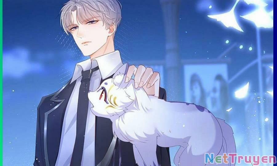 Boss Sát Thủ Dưỡng Hồ Yêu 59 trang 98