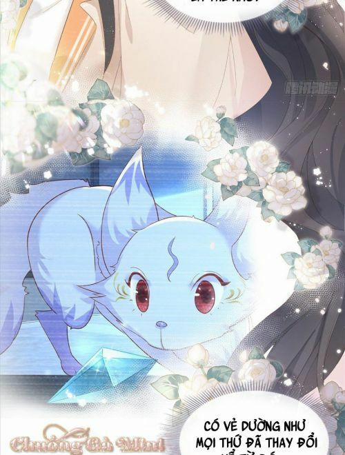 Boss Sát Thủ Dưỡng Hồ Yêu 6 trang 47