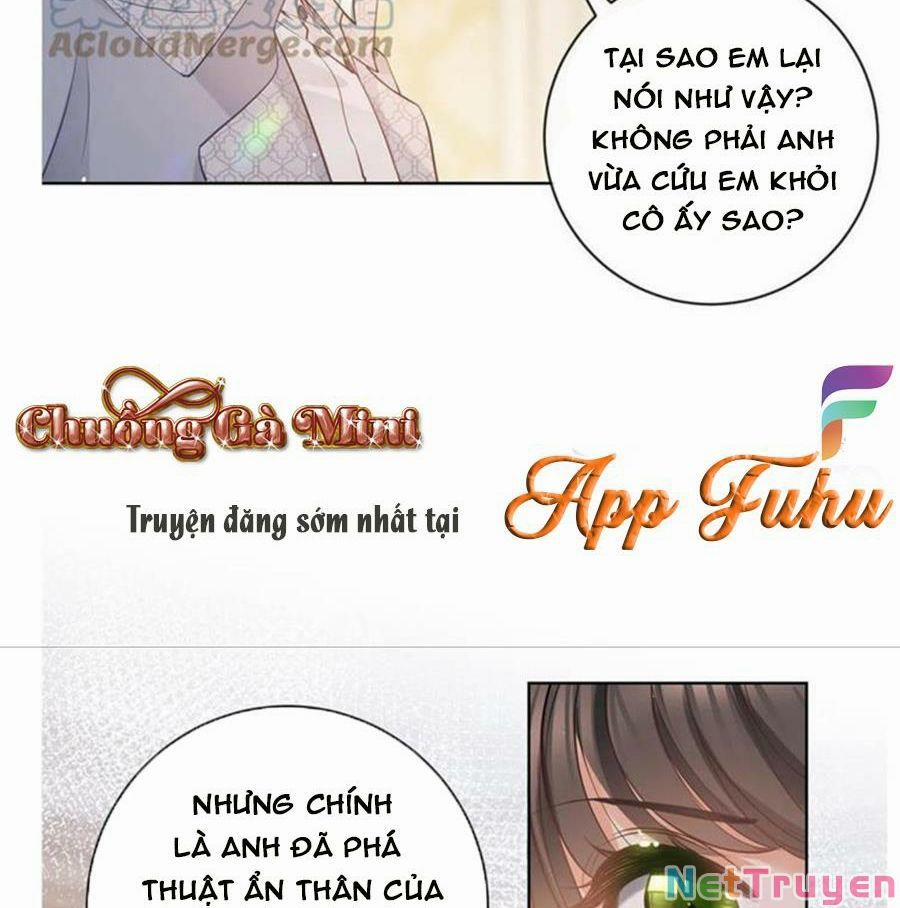 Boss Sát Thủ Dưỡng Hồ Yêu 66 trang 11