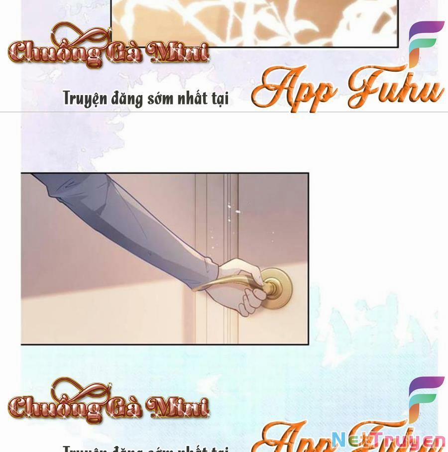 Boss Sát Thủ Dưỡng Hồ Yêu 66 trang 4