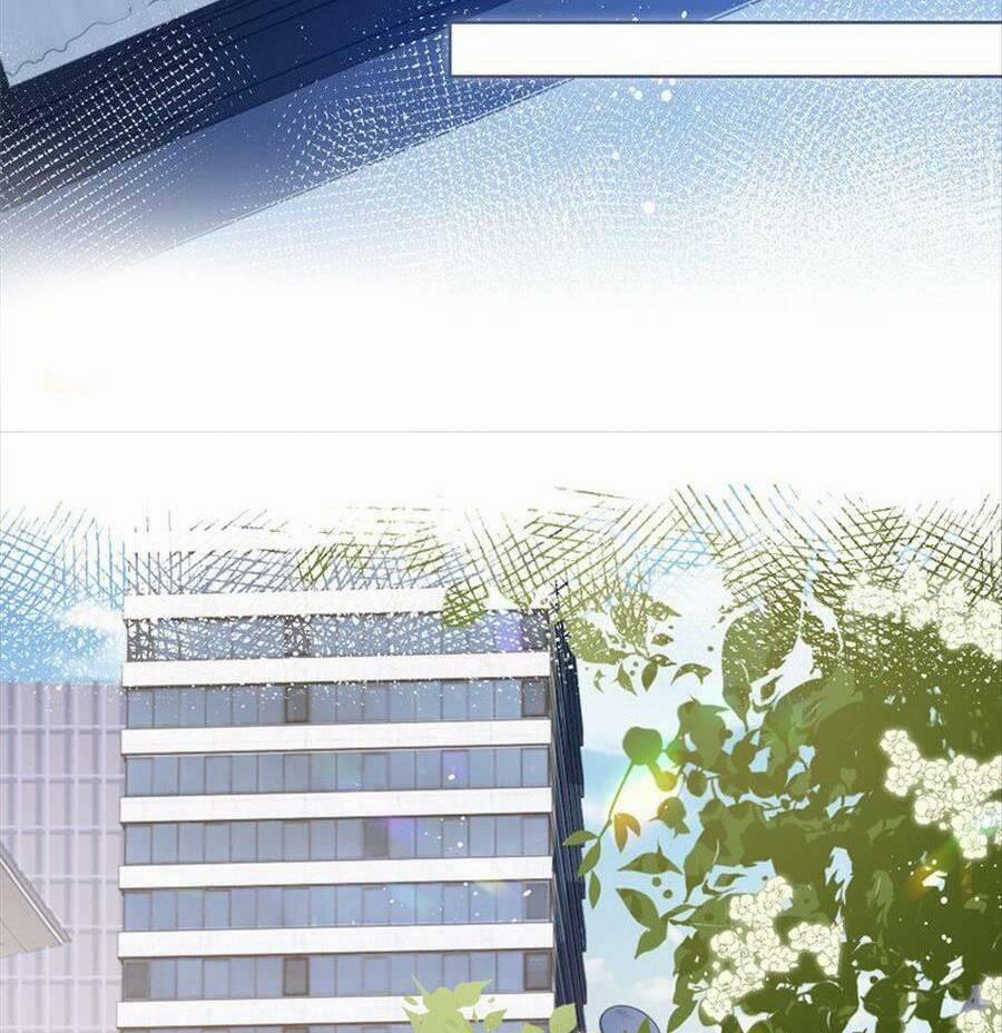 Boss Sát Thủ Dưỡng Hồ Yêu 70 trang 19