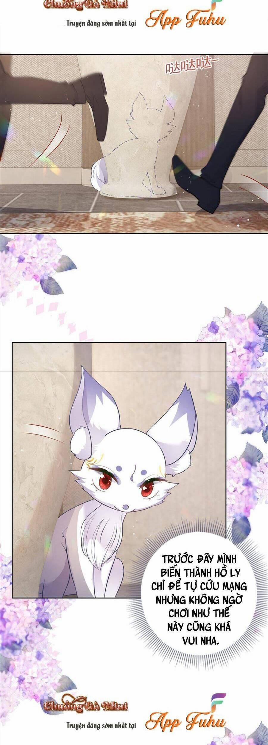 Boss Sát Thủ Dưỡng Hồ Yêu 71 trang 11