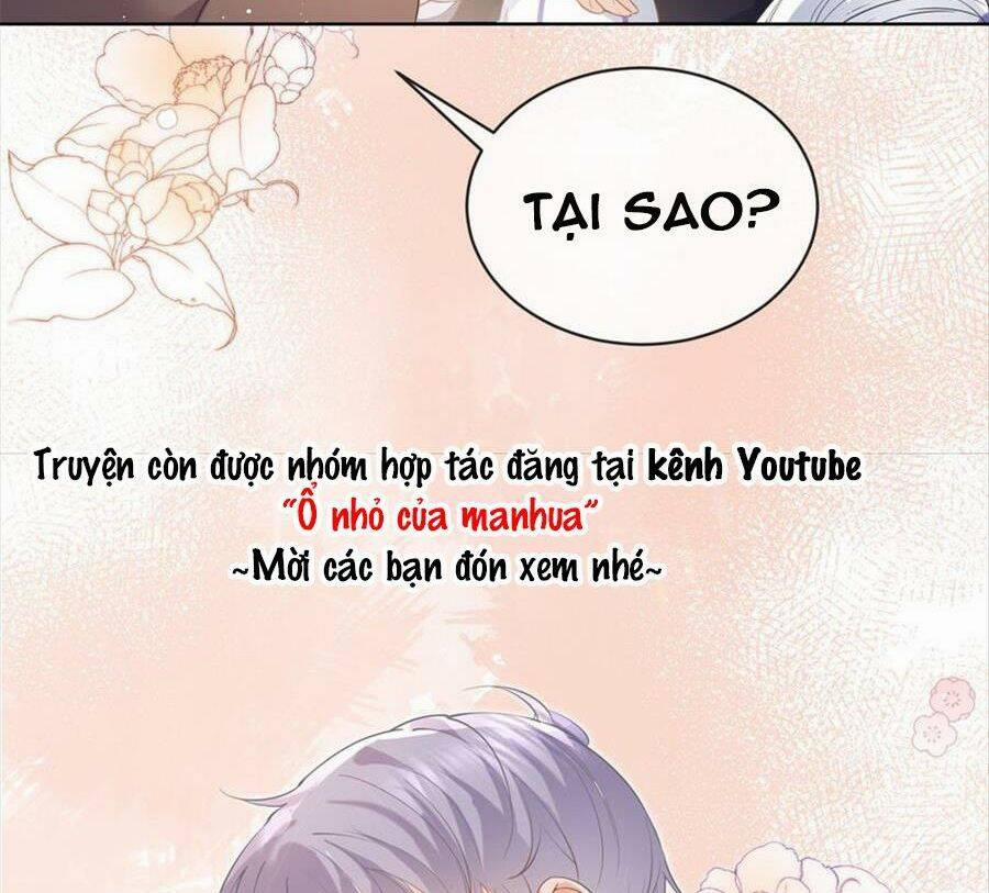 Boss Sát Thủ Dưỡng Hồ Yêu 72 trang 18