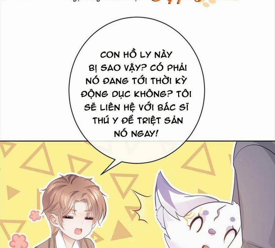 Boss Sát Thủ Dưỡng Hồ Yêu 72 trang 33