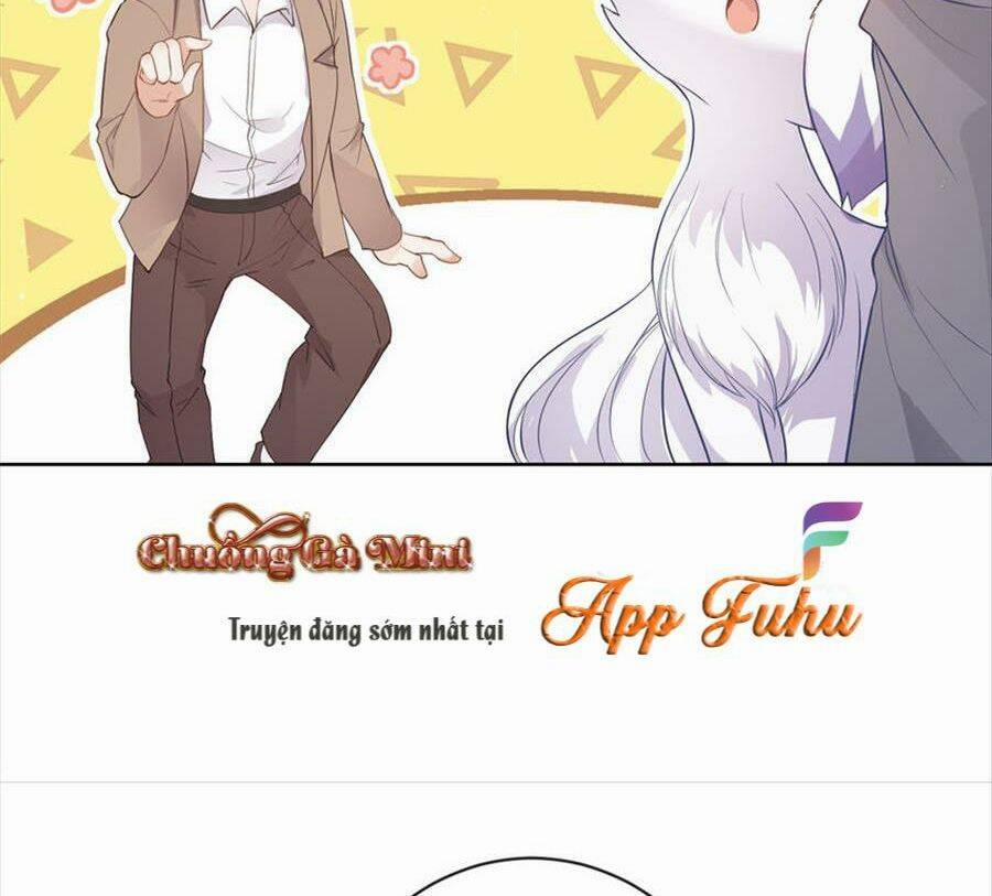 Boss Sát Thủ Dưỡng Hồ Yêu 72 trang 34