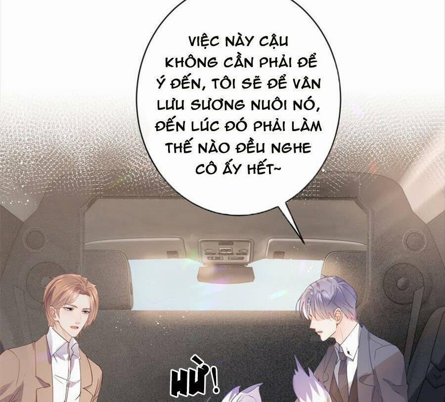 Boss Sát Thủ Dưỡng Hồ Yêu 72 trang 35