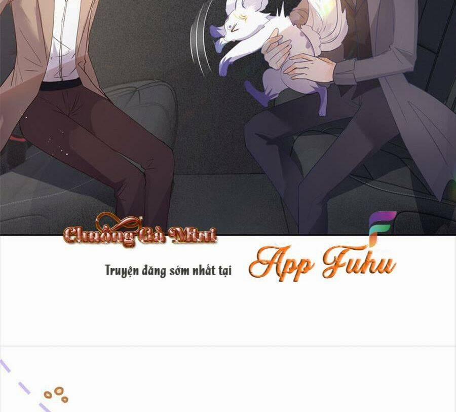 Boss Sát Thủ Dưỡng Hồ Yêu 72 trang 36