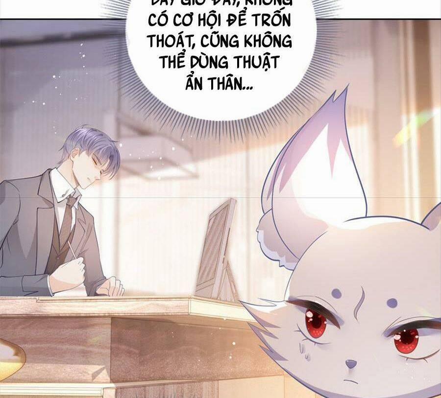 Boss Sát Thủ Dưỡng Hồ Yêu 72 trang 52