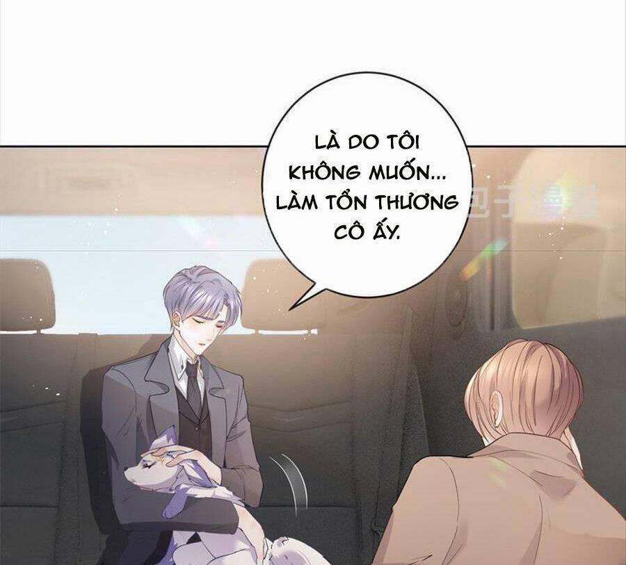 Boss Sát Thủ Dưỡng Hồ Yêu 72 trang 6