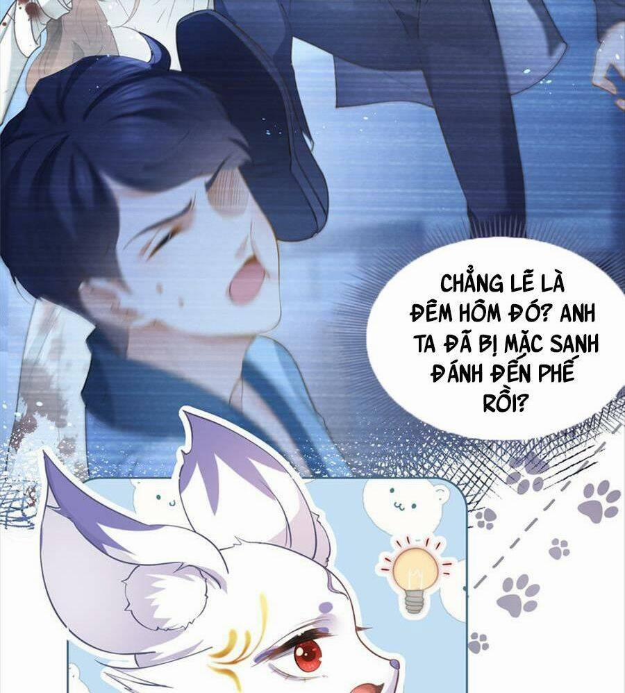 Boss Sát Thủ Dưỡng Hồ Yêu 73 trang 13