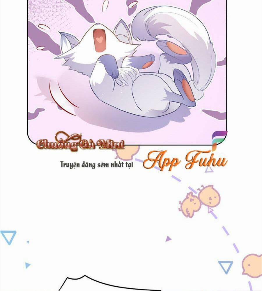 Boss Sát Thủ Dưỡng Hồ Yêu 73 trang 18
