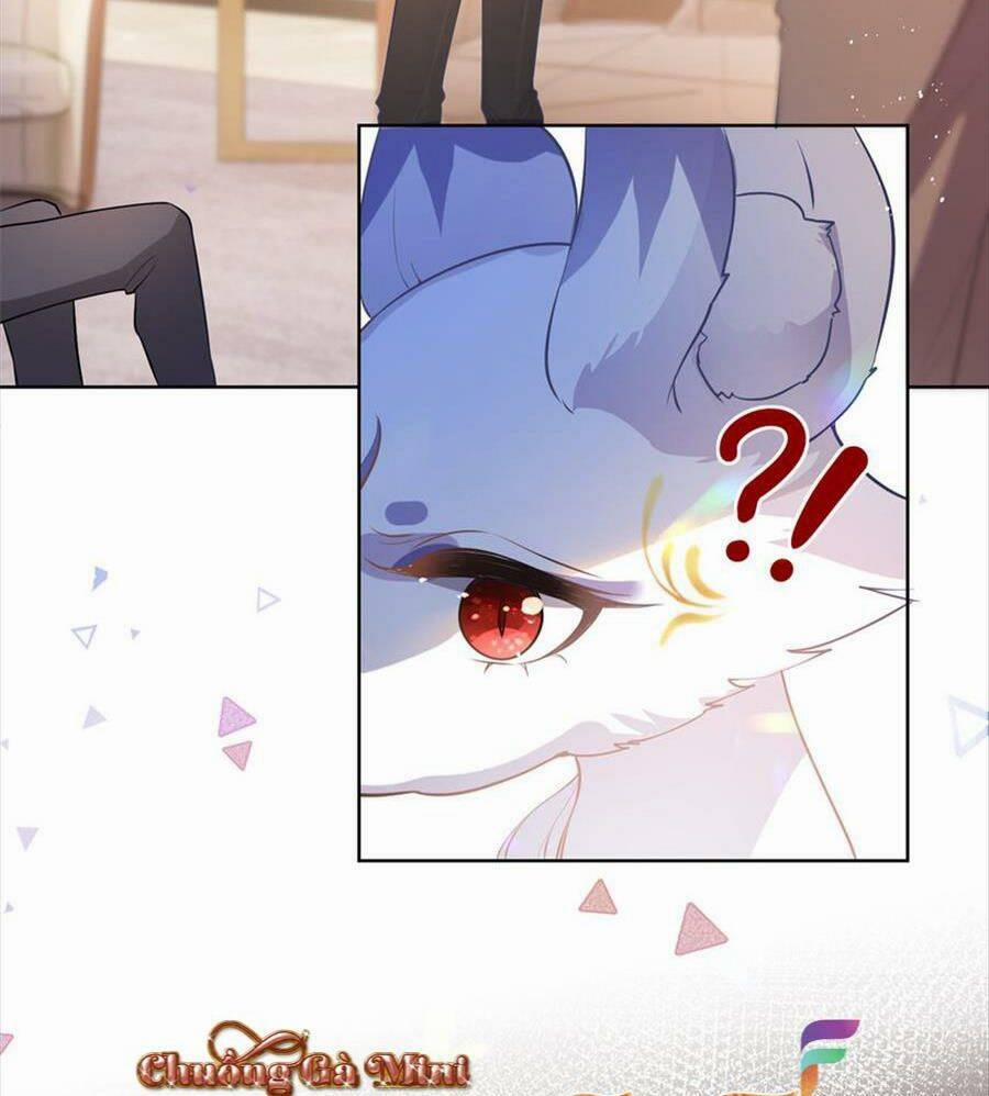 Boss Sát Thủ Dưỡng Hồ Yêu 73 trang 20