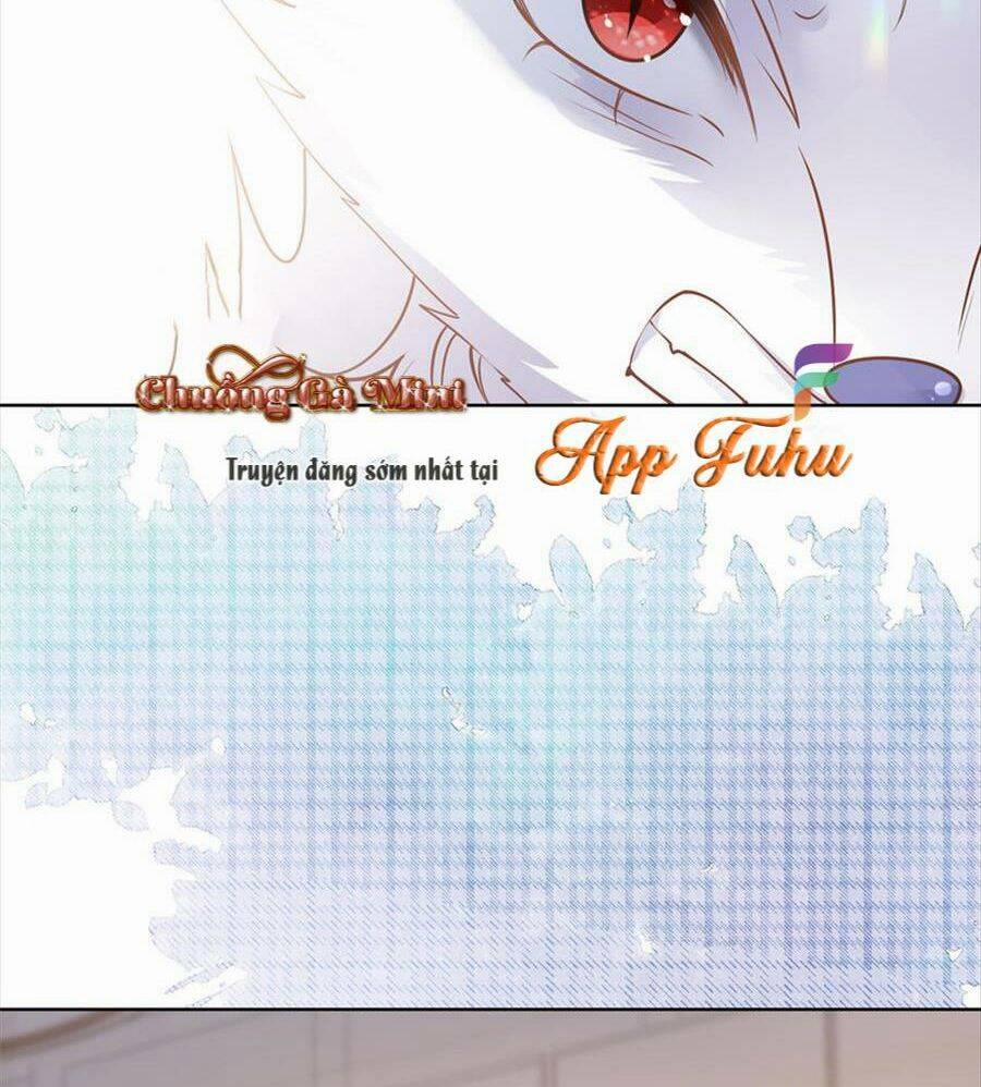 Boss Sát Thủ Dưỡng Hồ Yêu 73 trang 26