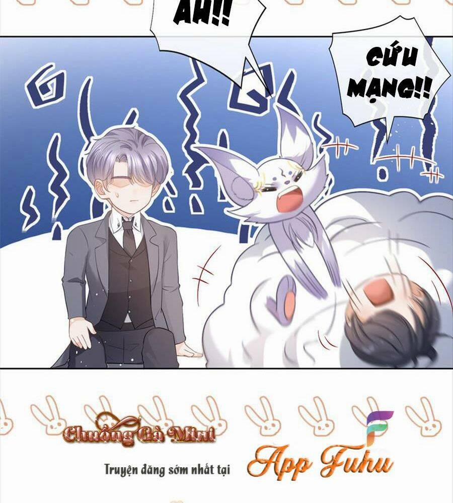 Boss Sát Thủ Dưỡng Hồ Yêu 73 trang 29