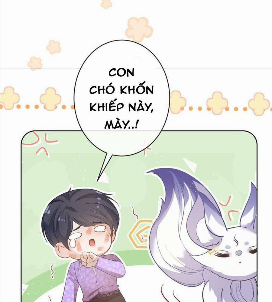 Boss Sát Thủ Dưỡng Hồ Yêu 73 trang 30