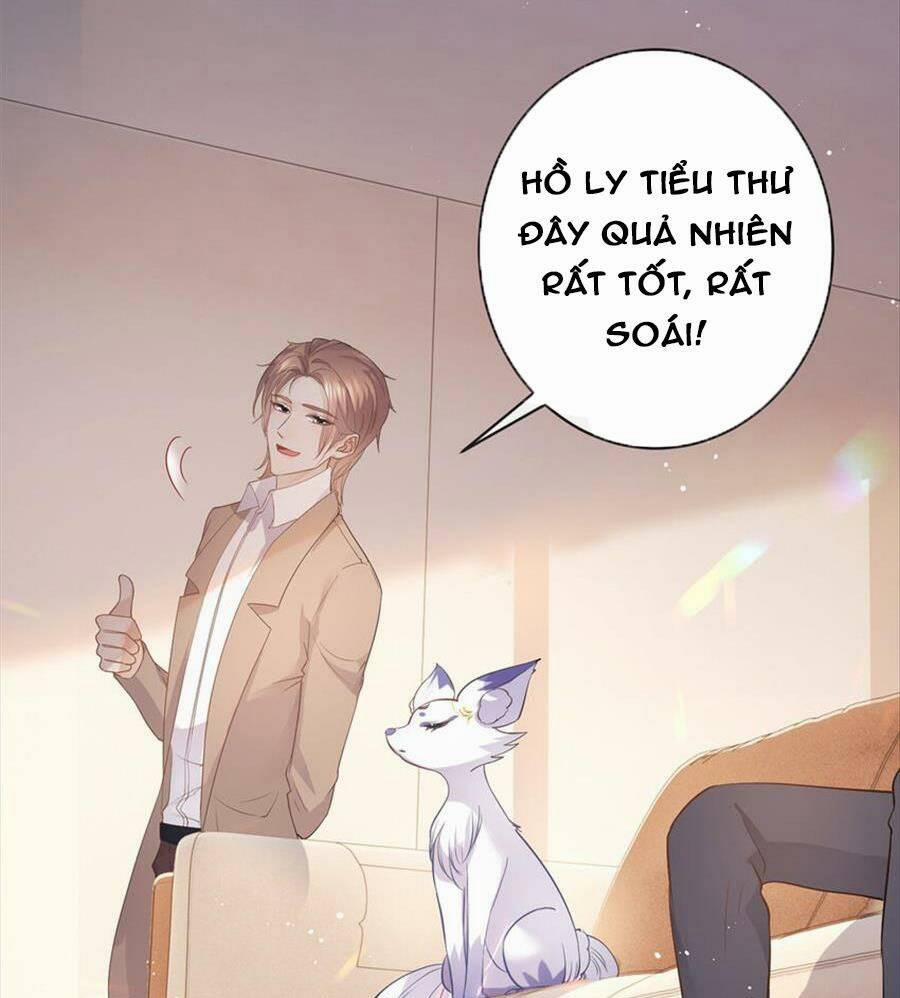 Boss Sát Thủ Dưỡng Hồ Yêu 73 trang 32