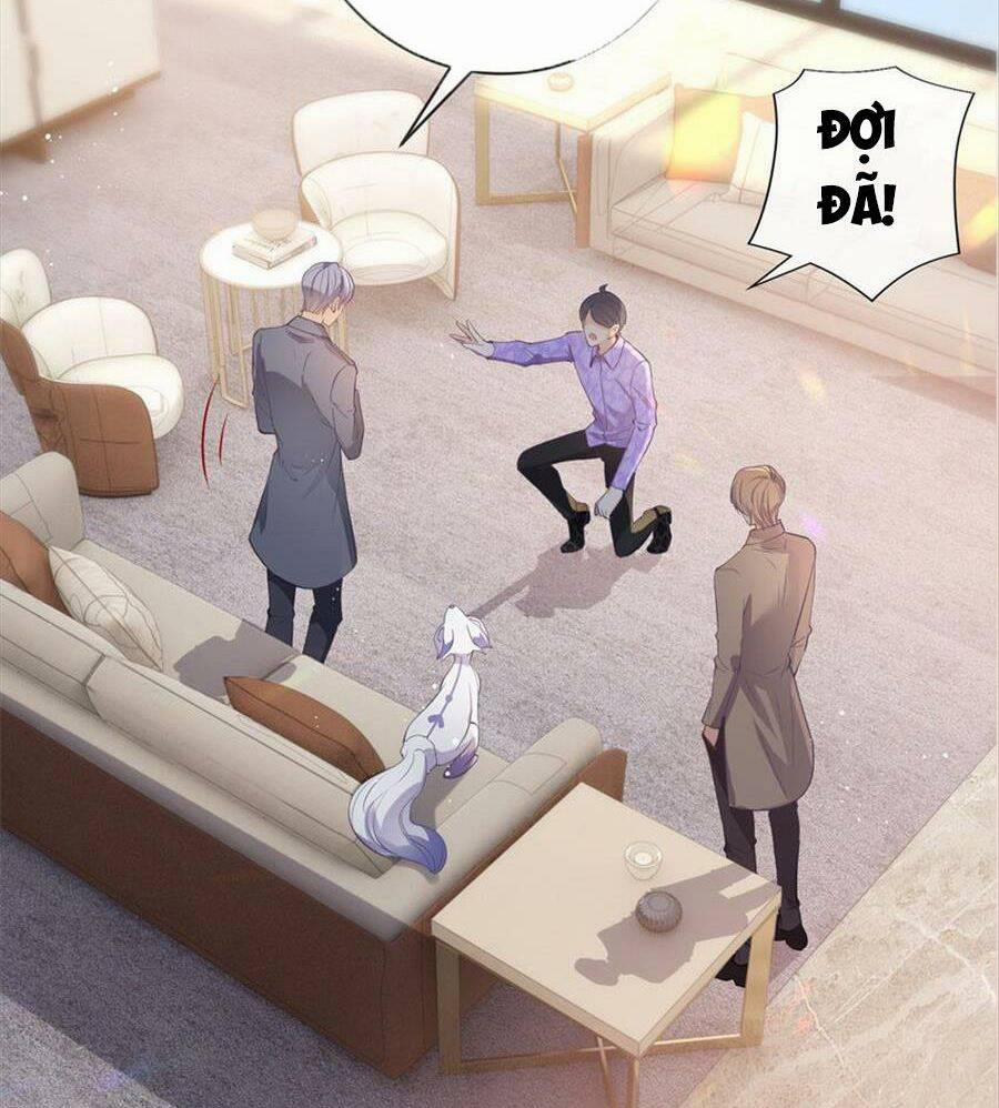 Boss Sát Thủ Dưỡng Hồ Yêu 73 trang 34