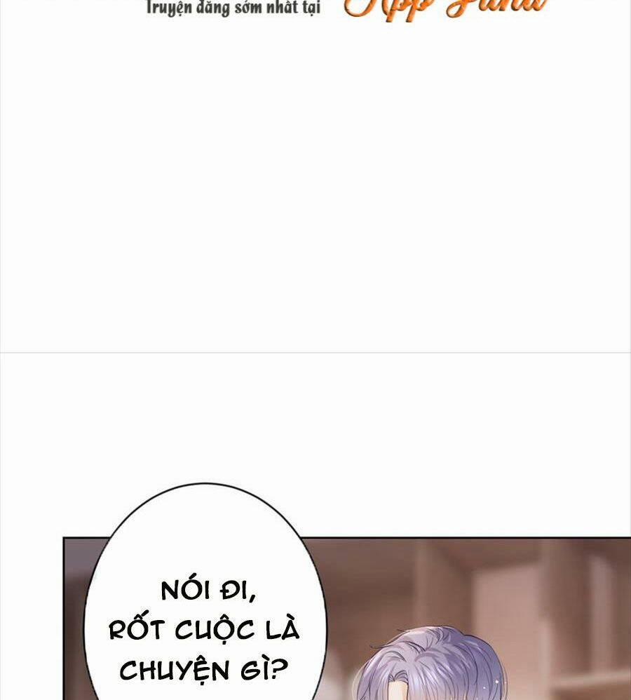 Boss Sát Thủ Dưỡng Hồ Yêu 73 trang 41