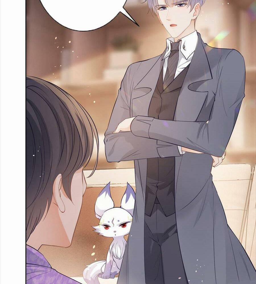 Boss Sát Thủ Dưỡng Hồ Yêu 73 trang 42