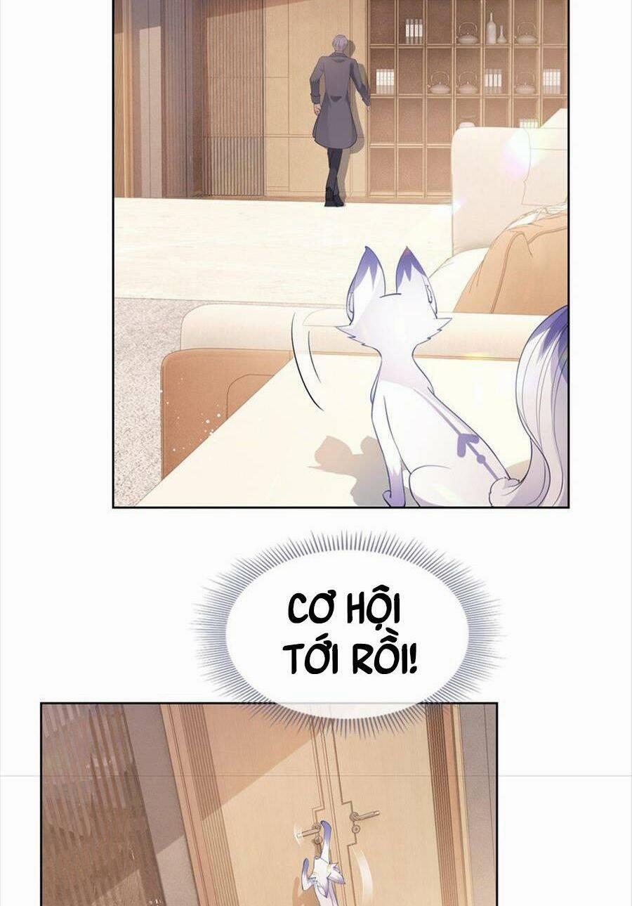 Boss Sát Thủ Dưỡng Hồ Yêu 75 trang 13