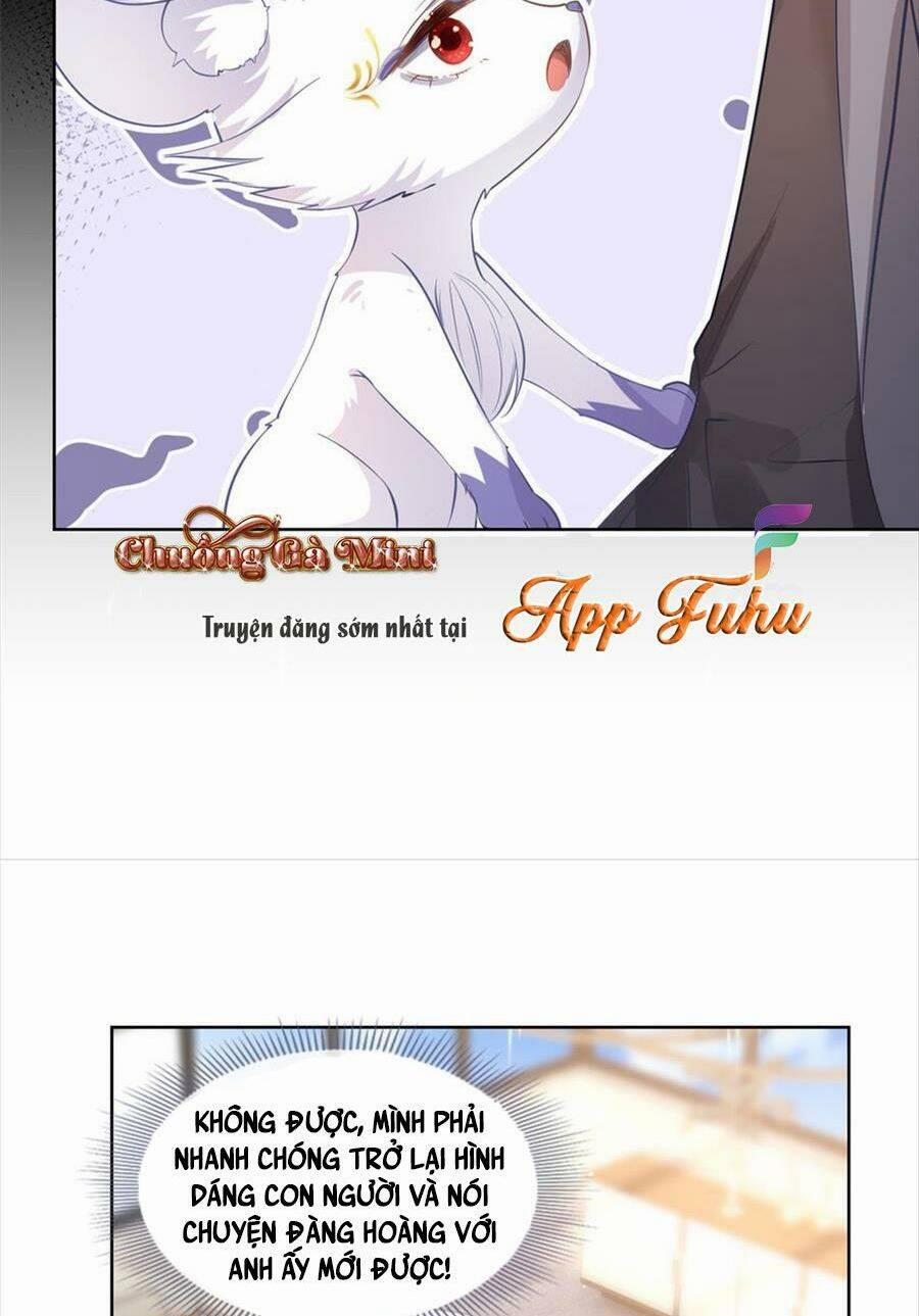 Boss Sát Thủ Dưỡng Hồ Yêu 75 trang 7