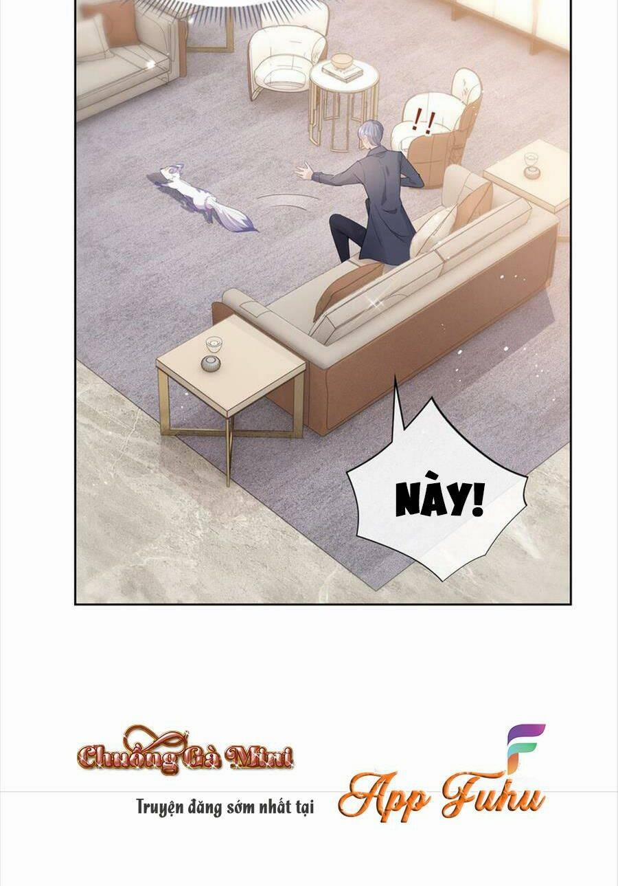Boss Sát Thủ Dưỡng Hồ Yêu 75 trang 8
