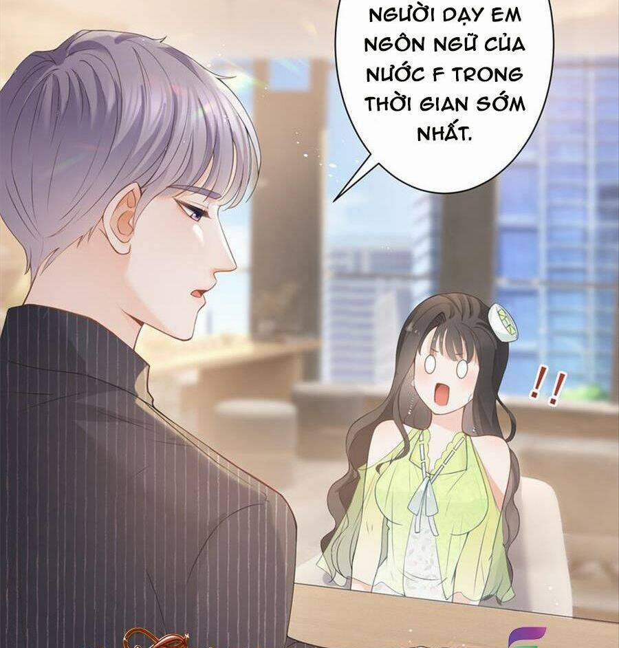 Boss Sát Thủ Dưỡng Hồ Yêu 76 trang 25