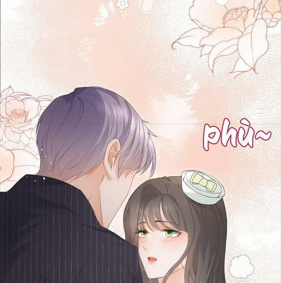 Boss Sát Thủ Dưỡng Hồ Yêu 77 trang 19