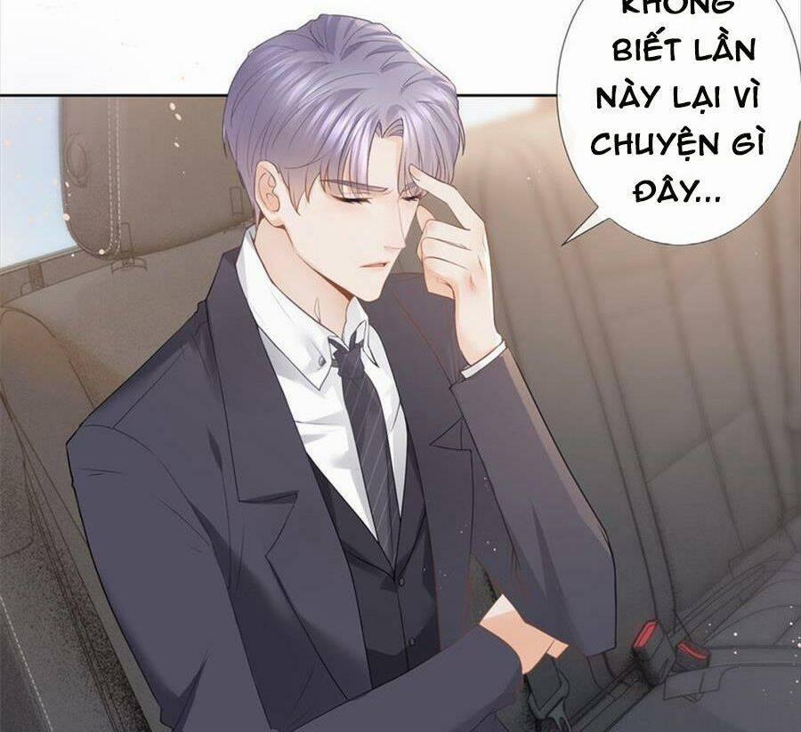 Boss Sát Thủ Dưỡng Hồ Yêu 79 trang 29