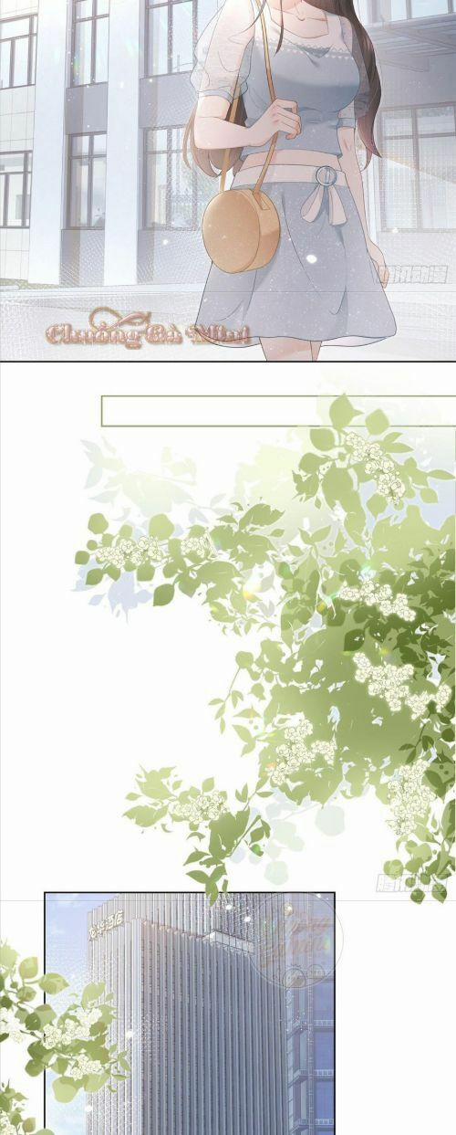 Boss Sát Thủ Dưỡng Hồ Yêu 8 trang 23