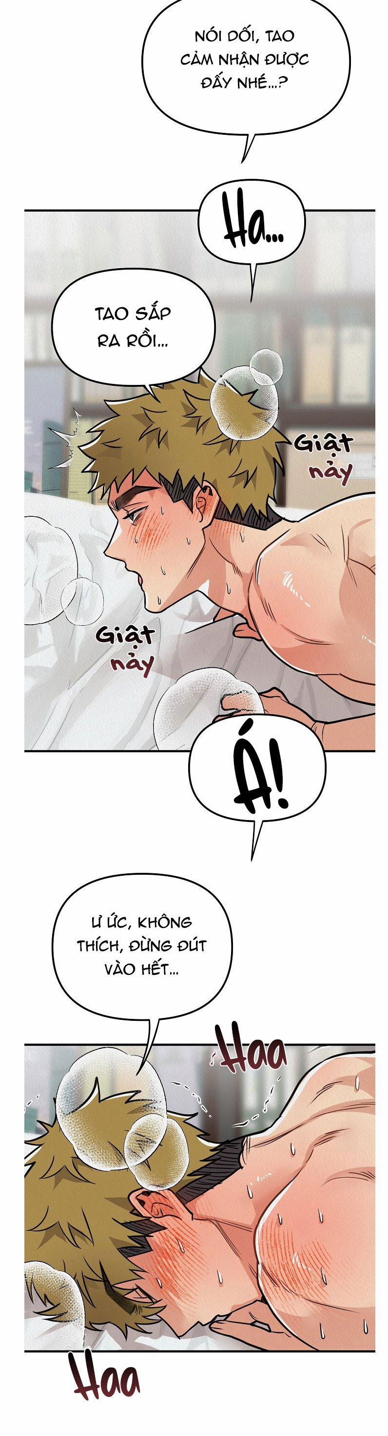 Boy Meets Girl 11 ss2 trang 3